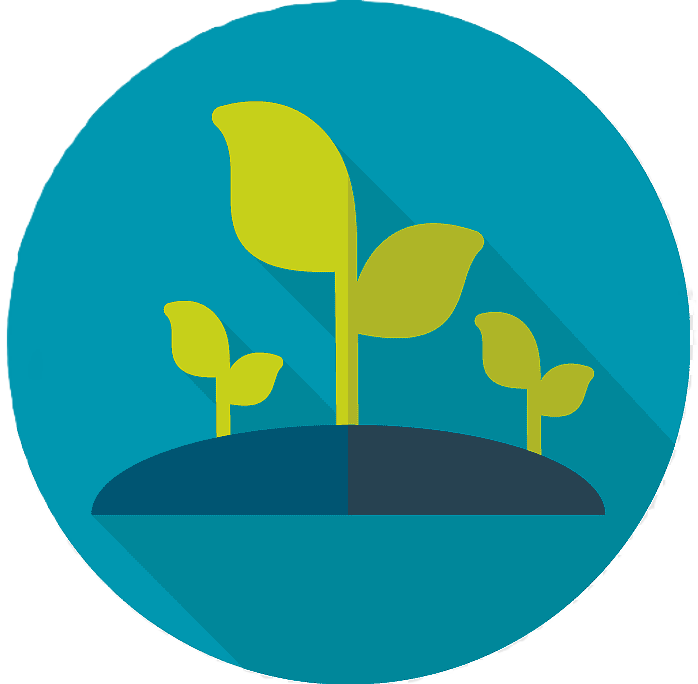 Garden and Horticulture